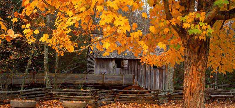 展示图片1
